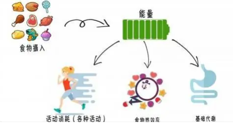 我国首个营养代谢研究重点实验室在沪